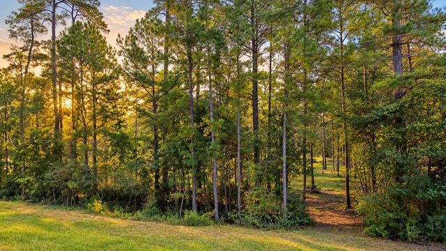 12-2-1 Grand View, Huntsville, TX 77340