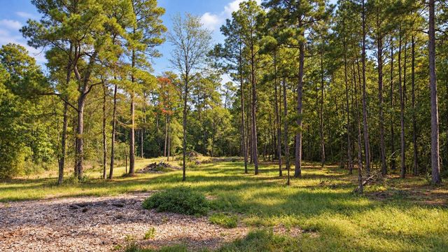 12-2-1 Grand View, Huntsville, TX 77340