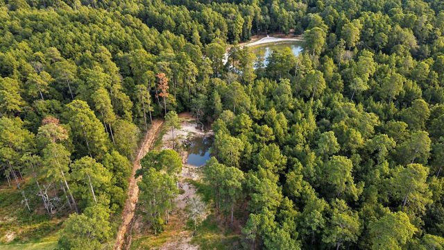 12-2-1 Grand View, Huntsville, TX 77340