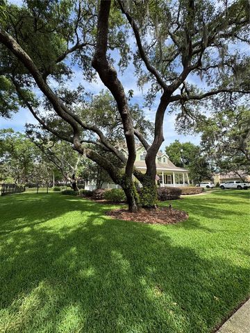 2928 CHELSEA WOODS DRIVE, Valrico, FL 33596
