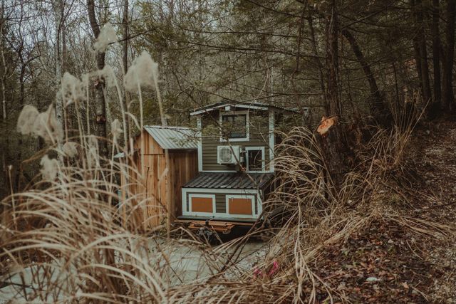 242 Cave Holw Road, Campton, KY 41301