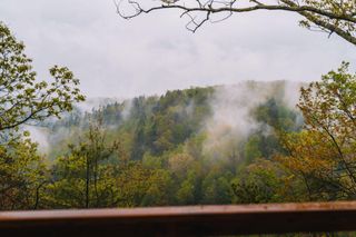 242 Cave Holw Road, Campton, KY 41301