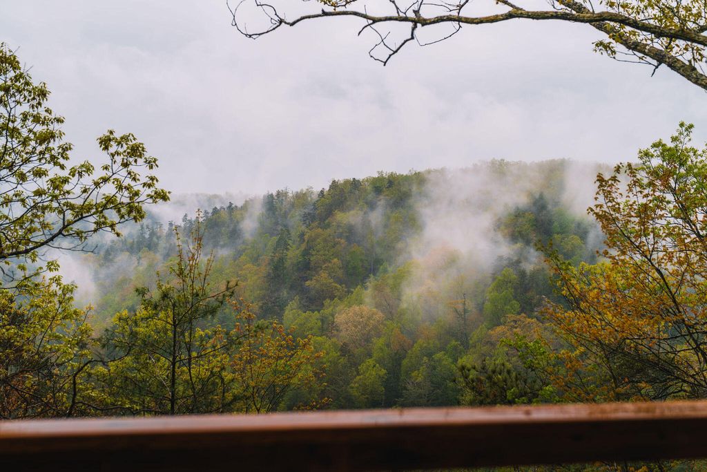 242 Cave Holw Road, Campton, KY 41301