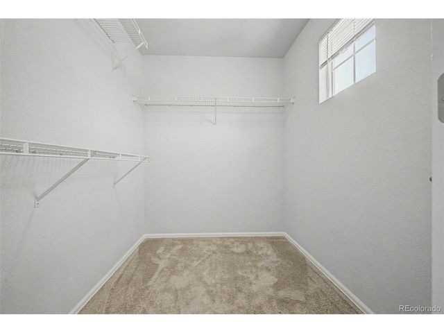 9040 Gale Blvd 2, Denver, CO 80260
