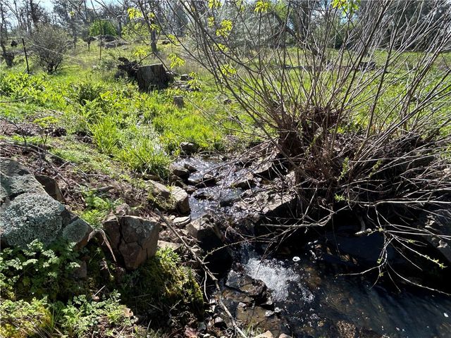 4456 Mount Bullion Cut Off, Catheys Valley, CA 95306