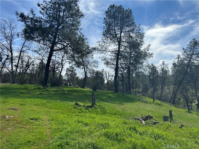 4456 Mount Bullion Cut Off, Catheys Valley, CA 95306