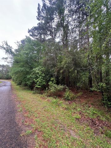0 Whisperwood Drive, Onalaska, TX 77360
