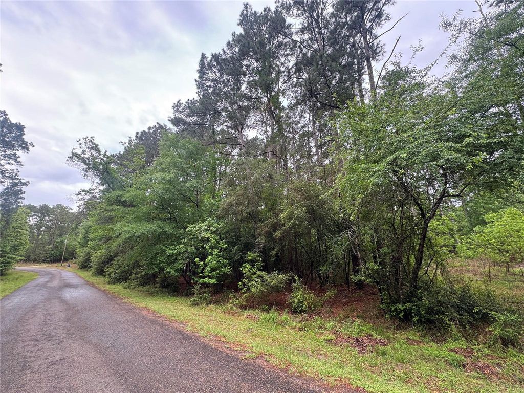 0 Whisperwood Drive, Onalaska, TX 77360