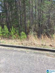 6445 WATERS EDGE CIRCLE, Bessemer, AL 35022
