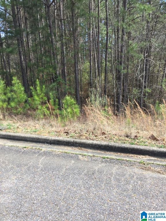 6445 WATERS EDGE CIRCLE, Bessemer, AL 35022