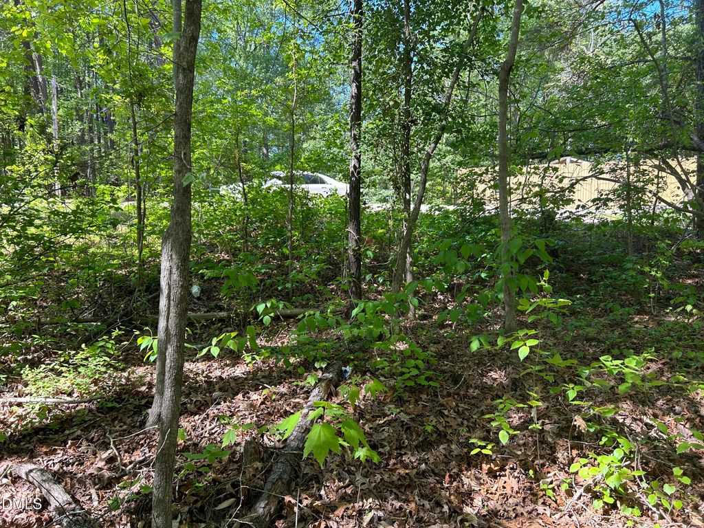 2558 Buckingham Drive, Franklinton, NC 27525