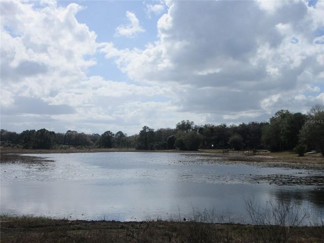 17350 SE 66TH STREET, Ocklawaha, FL 32179