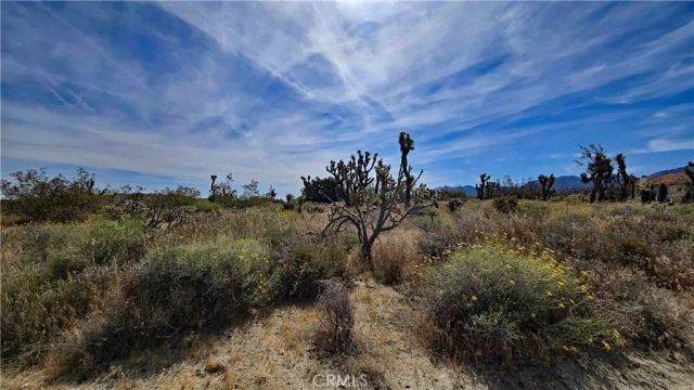 0 103rd St East vicinity W14, Juniper Hills, CA 93543