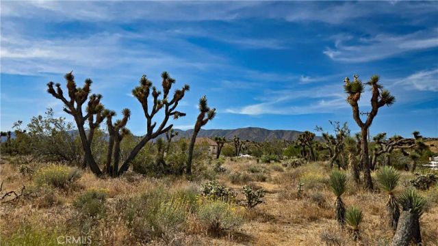 0 103rd St East vicinity W14, Juniper Hills, CA 93543
