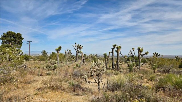 0 103rd St East vicinity W14, Juniper Hills, CA 93543