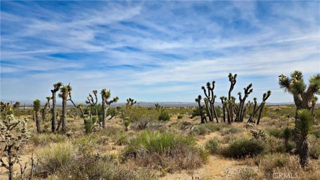 0 103rd St East vicinity W14, Juniper Hills, CA 93543