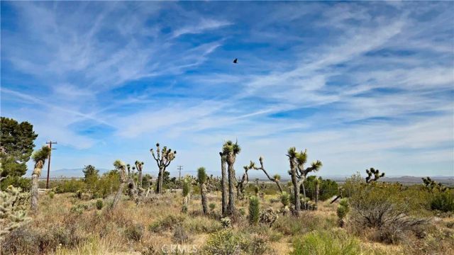 0 103rd St East vicinity W14, Juniper Hills, CA 93543