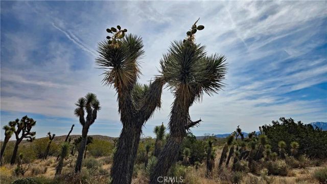 0 103rd St East vicinity W14, Juniper Hills, CA 93543