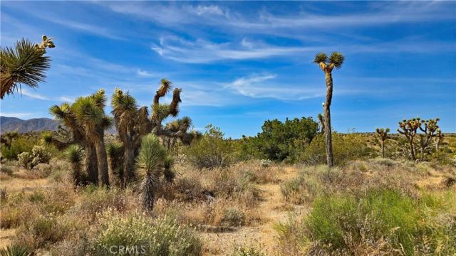 0 103rd St East vicinity W14, Juniper Hills, CA 93543