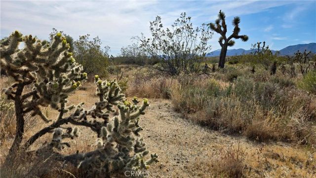 0 103rd St East vicinity W14, Juniper Hills, CA 93543