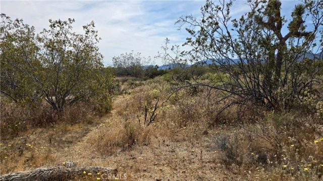 0 103rd St East vicinity W14, Juniper Hills, CA 93543