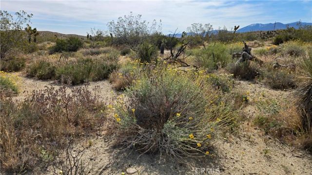 0 103rd St East vicinity W14, Juniper Hills, CA 93543
