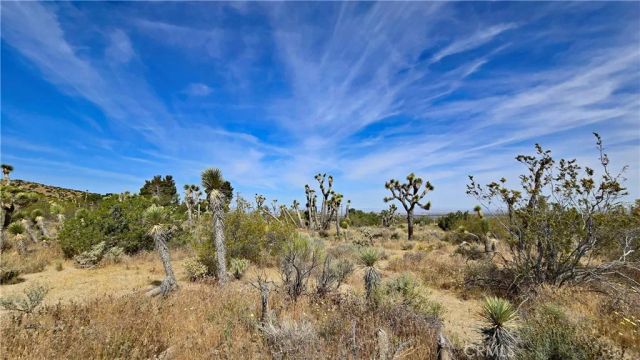 0 103rd St East vicinity W14, Juniper Hills, CA 93543