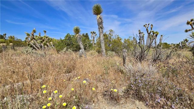 0 103rd St East vicinity W14, Juniper Hills, CA 93543