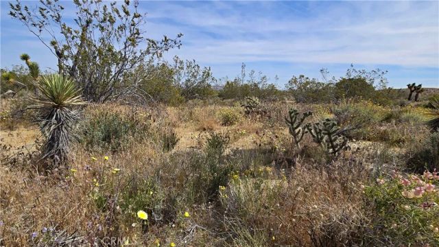 0 103rd St East vicinity W14, Juniper Hills, CA 93543