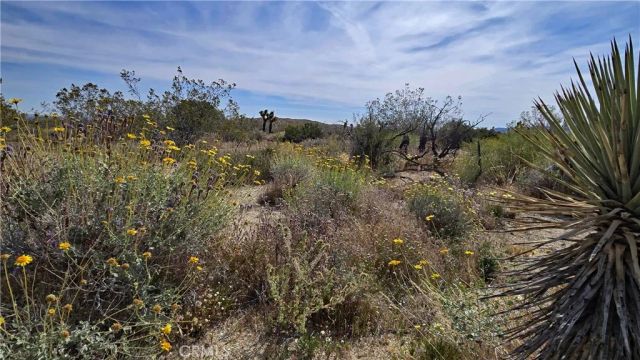 0 103rd St East vicinity W14, Juniper Hills, CA 93543