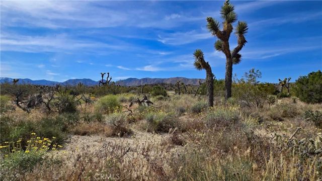 0 103rd St East vicinity W14, Juniper Hills, CA 93543