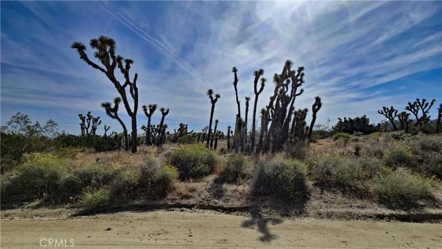 0 103rd St East vicinity W14, Juniper Hills, CA 93543