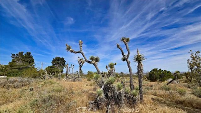 0 103rd St East vicinity W14, Juniper Hills, CA 93543