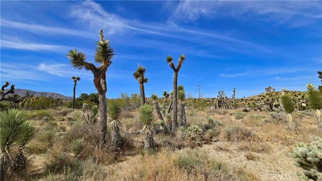 0 103rd St East vicinity W14, Juniper Hills, CA 93543