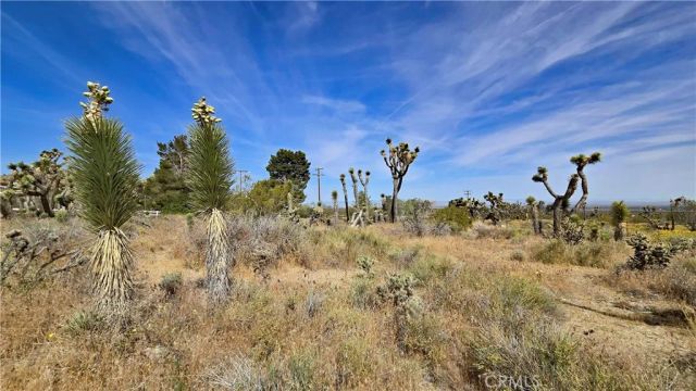 0 103rd St East vicinity W14, Juniper Hills, CA 93543