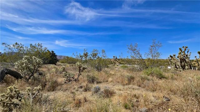 0 103rd St East vicinity W14, Juniper Hills, CA 93543