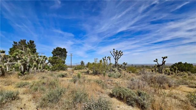 0 103rd St East vicinity W14, Juniper Hills, CA 93543