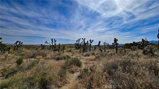 0 103rd St East vicinity W14, Juniper Hills, CA 93543