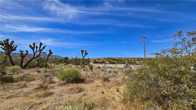 0 103rd St East vicinity W14, Juniper Hills, CA 93543