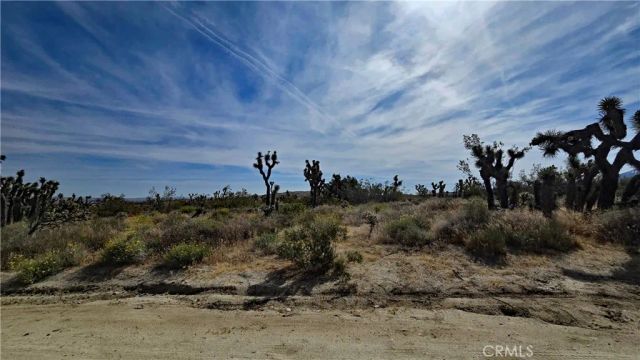 0 103rd St East vicinity W14, Juniper Hills, CA 93543