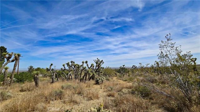 0 103rd St East vicinity W14, Juniper Hills, CA 93543