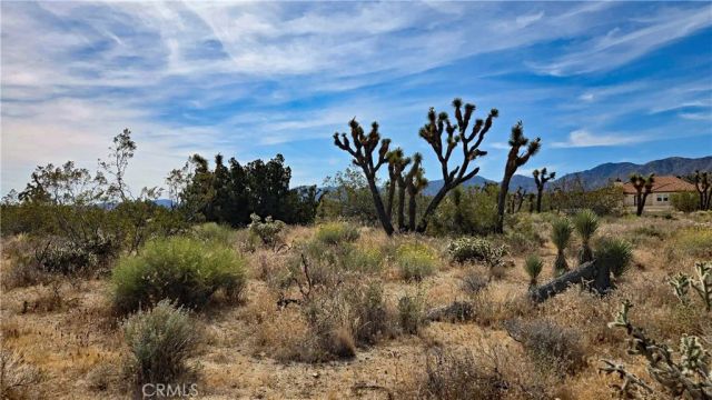 0 103rd St East vicinity W14, Juniper Hills, CA 93543