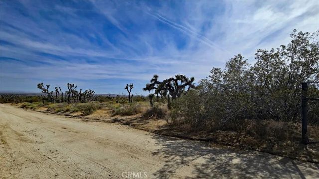 0 103rd St East vicinity W14, Juniper Hills, CA 93543