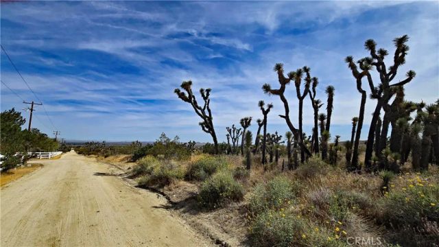 0 103rd St East vicinity W14, Juniper Hills, CA 93543