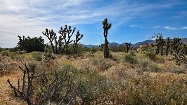 0 103rd St East vicinity W14, Juniper Hills, CA 93543