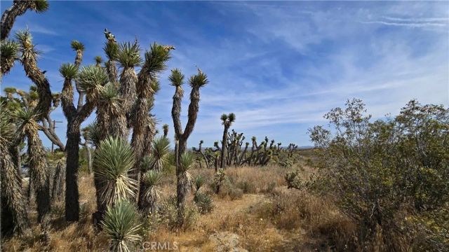 0 103rd St East vicinity W14, Juniper Hills, CA 93543