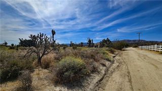 0 103rd St East vicinity W14, Juniper Hills, CA 93543