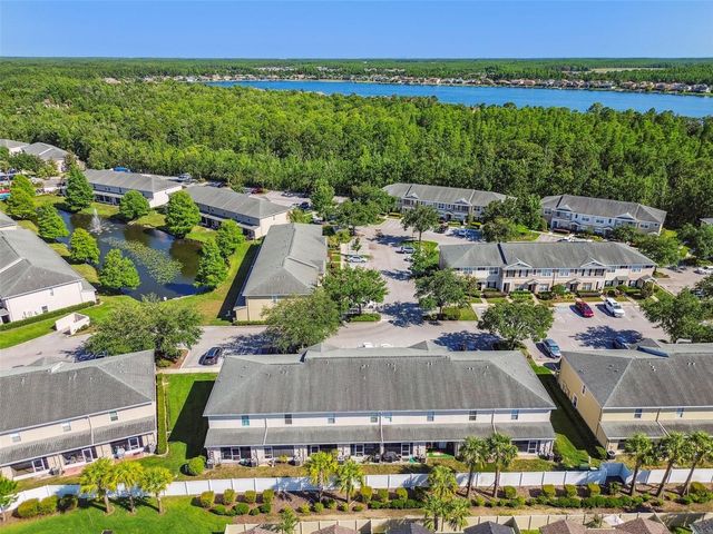 16227 SWAN VIEW CIRCLE, Odessa, FL 33556