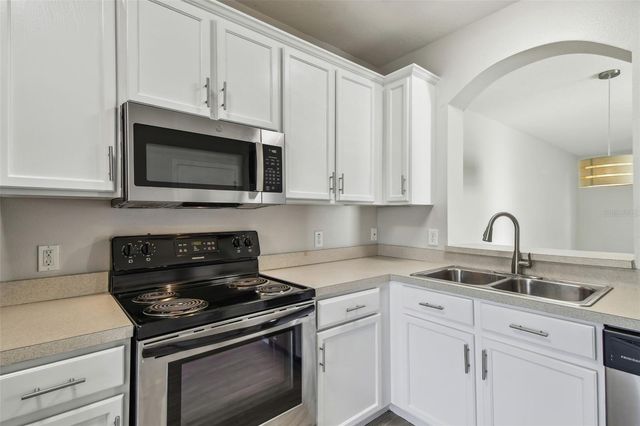 16227 SWAN VIEW CIRCLE, Odessa, FL 33556