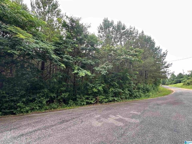 290 VIRGINIA WAY, Odenville, AL 35004